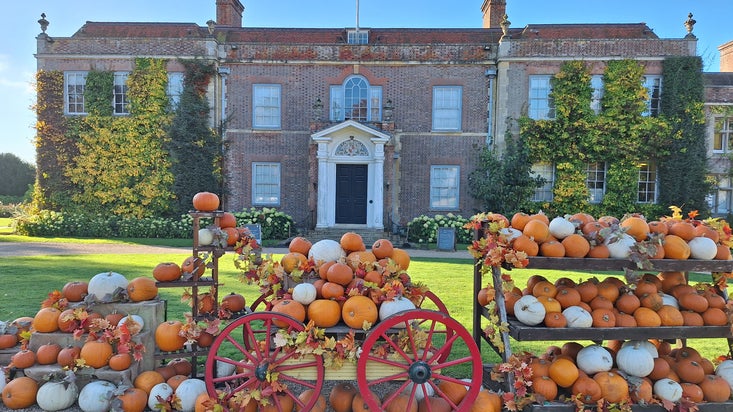 Harvest and Pumpkin Displays at Hinton Ampner